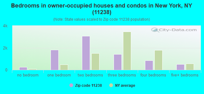 Bedrooms in owner-occupied houses and condos in New York, NY (11238) 