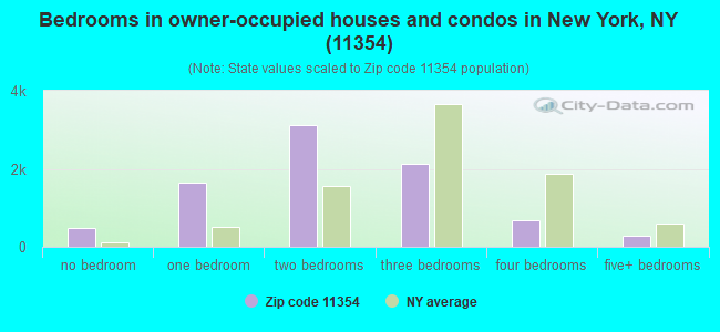 Bedrooms in owner-occupied houses and condos in New York, NY (11354) 
