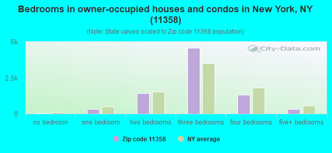 Bedrooms in owner-occupied houses and condos in New York, NY (11358) 