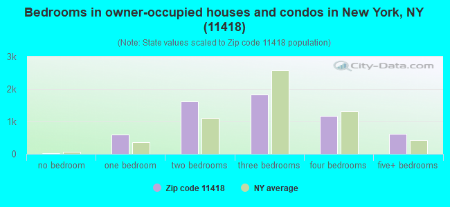 Bedrooms in owner-occupied houses and condos in New York, NY (11418) 