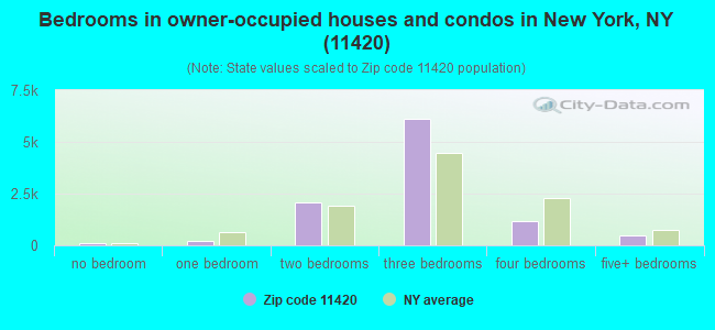 Bedrooms in owner-occupied houses and condos in New York, NY (11420) 