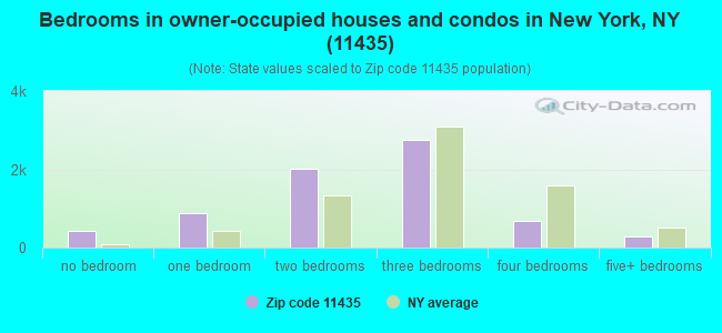 Bedrooms in owner-occupied houses and condos in New York, NY (11435) 