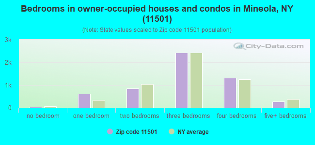 Bedrooms in owner-occupied houses and condos in Mineola, NY (11501) 