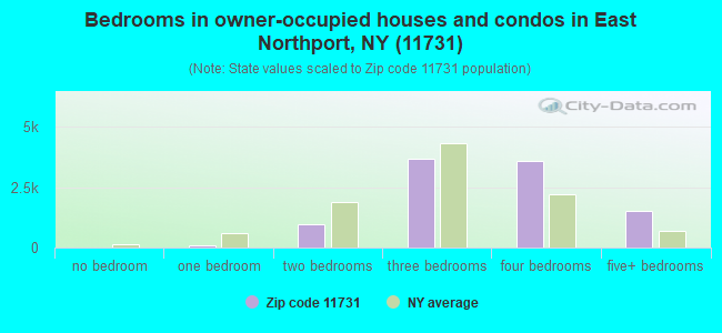 Bedrooms in owner-occupied houses and condos in East Northport, NY (11731) 