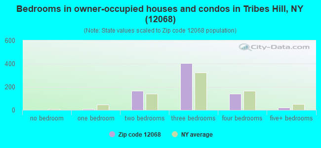 Bedrooms in owner-occupied houses and condos in Tribes Hill, NY (12068) 