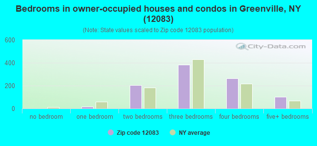 Bedrooms in owner-occupied houses and condos in Greenville, NY (12083) 