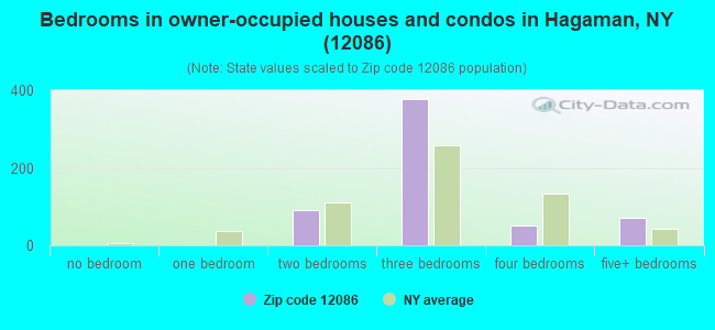 Bedrooms in owner-occupied houses and condos in Hagaman, NY (12086) 