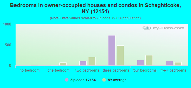 Bedrooms in owner-occupied houses and condos in Schaghticoke, NY (12154) 