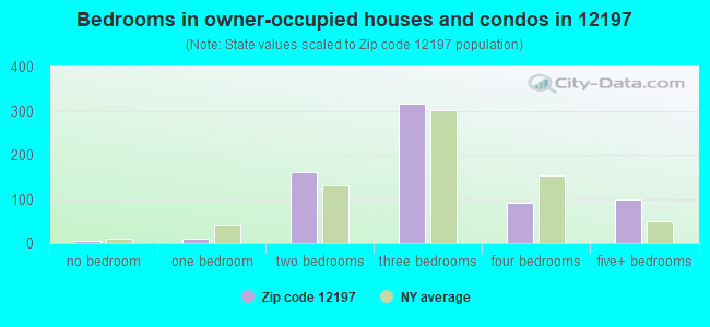 Bedrooms in owner-occupied houses and condos in 12197 
