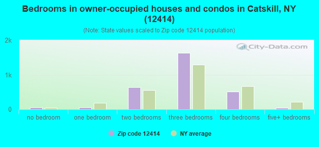 Bedrooms in owner-occupied houses and condos in Catskill, NY (12414) 