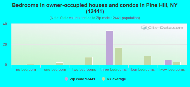 Bedrooms in owner-occupied houses and condos in Pine Hill, NY (12441) 