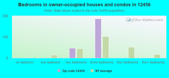 Bedrooms in owner-occupied houses and condos in 12456 