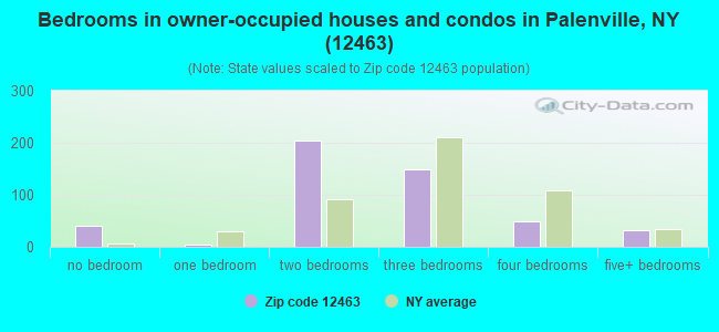 Bedrooms in owner-occupied houses and condos in Palenville, NY (12463) 