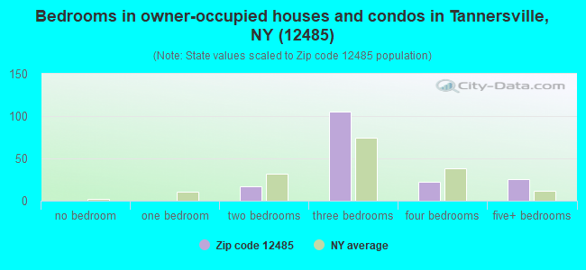 Bedrooms in owner-occupied houses and condos in Tannersville, NY (12485) 