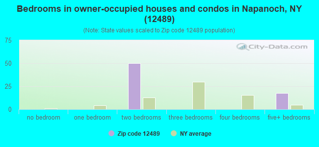 Bedrooms in owner-occupied houses and condos in Napanoch, NY (12489) 