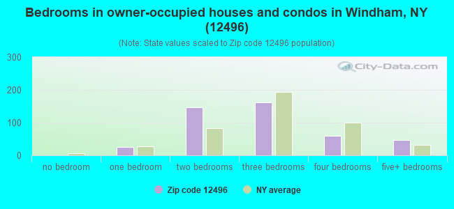 Bedrooms in owner-occupied houses and condos in Windham, NY (12496) 