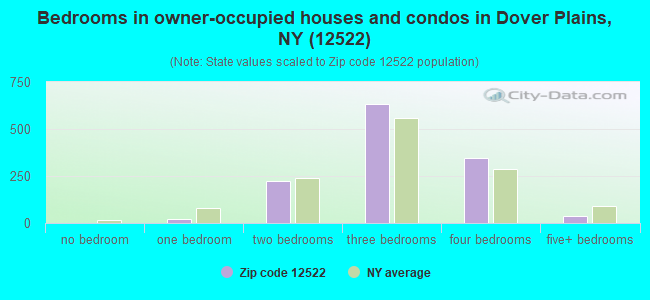 Bedrooms in owner-occupied houses and condos in Dover Plains, NY (12522) 
