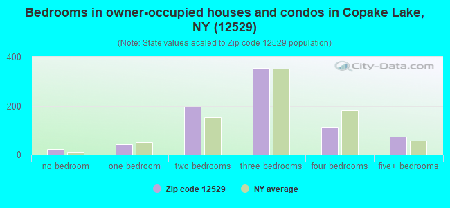 Bedrooms in owner-occupied houses and condos in Copake Lake, NY (12529) 