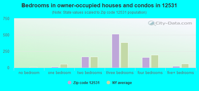 Bedrooms in owner-occupied houses and condos in 12531 