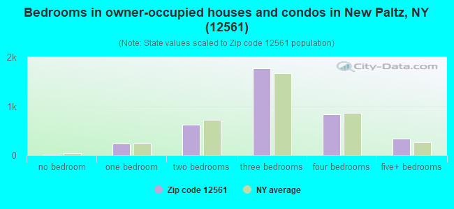 Bedrooms in owner-occupied houses and condos in New Paltz, NY (12561) 