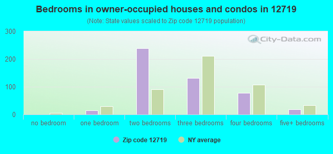 Bedrooms in owner-occupied houses and condos in 12719 