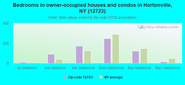 Bedrooms in owner-occupied houses and condos in Hortonville, NY (12723) 