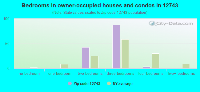 Bedrooms in owner-occupied houses and condos in 12743 