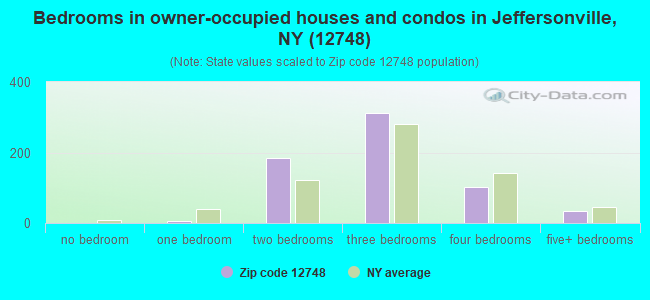 Bedrooms in owner-occupied houses and condos in Jeffersonville, NY (12748) 