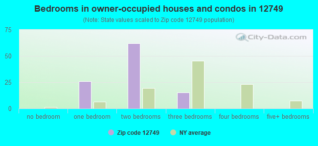 Bedrooms in owner-occupied houses and condos in 12749 