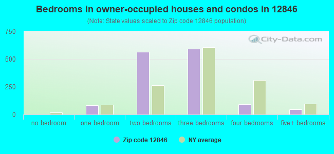 Bedrooms in owner-occupied houses and condos in 12846 