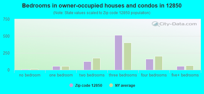 Bedrooms in owner-occupied houses and condos in 12850 