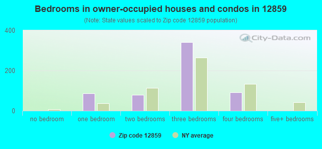 Bedrooms in owner-occupied houses and condos in 12859 