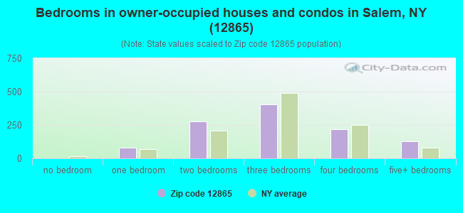 Bedrooms in owner-occupied houses and condos in Salem, NY (12865) 