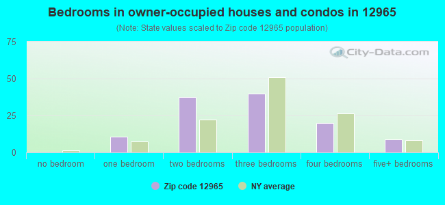 Bedrooms in owner-occupied houses and condos in 12965 