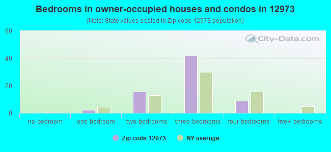 Bedrooms in owner-occupied houses and condos in 12973 