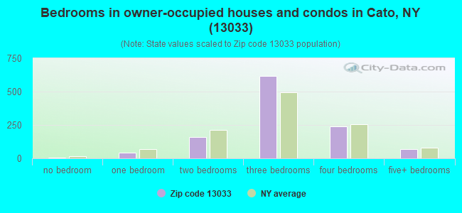 Bedrooms in owner-occupied houses and condos in Cato, NY (13033) 