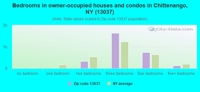 Bedrooms in owner-occupied houses and condos in Chittenango, NY (13037) 