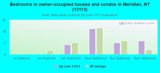Bedrooms in owner-occupied houses and condos in Meridian, NY (13113) 