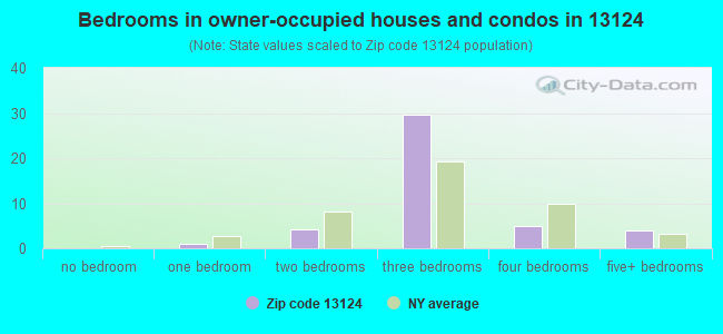 Bedrooms in owner-occupied houses and condos in 13124 