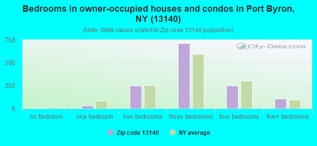 Bedrooms in owner-occupied houses and condos in Port Byron, NY (13140) 