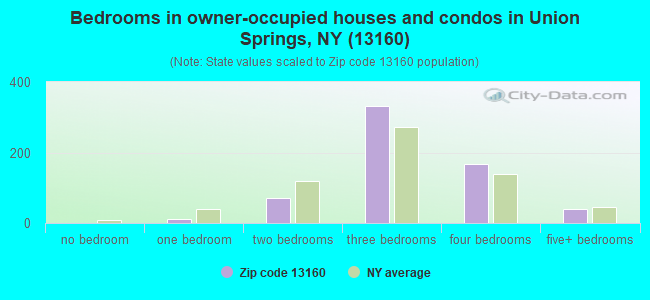 Bedrooms in owner-occupied houses and condos in Union Springs, NY (13160) 