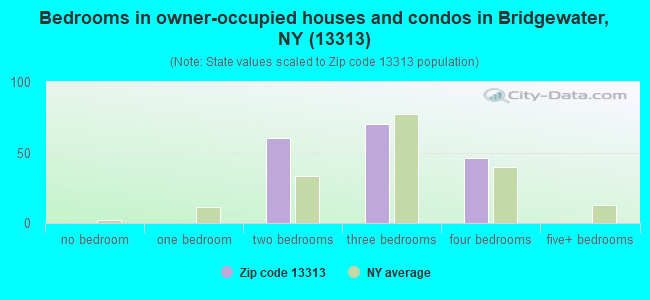 Bedrooms in owner-occupied houses and condos in Bridgewater, NY (13313) 