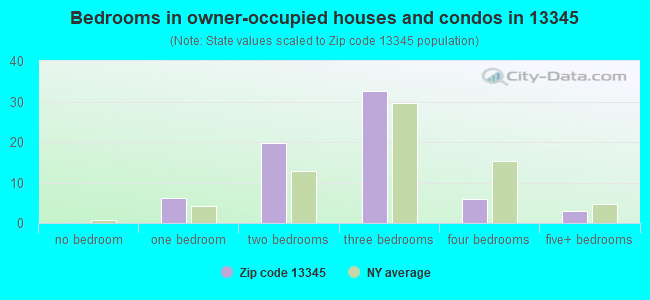 Bedrooms in owner-occupied houses and condos in 13345 