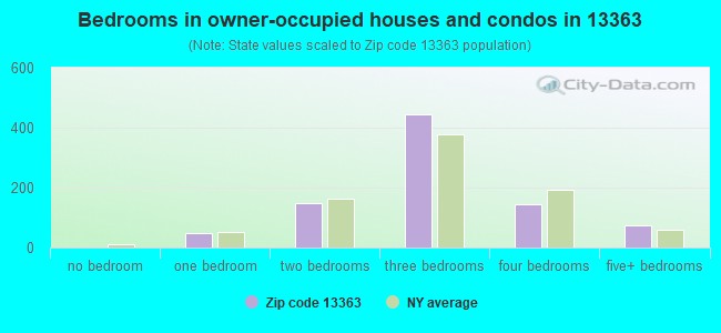 Bedrooms in owner-occupied houses and condos in 13363 