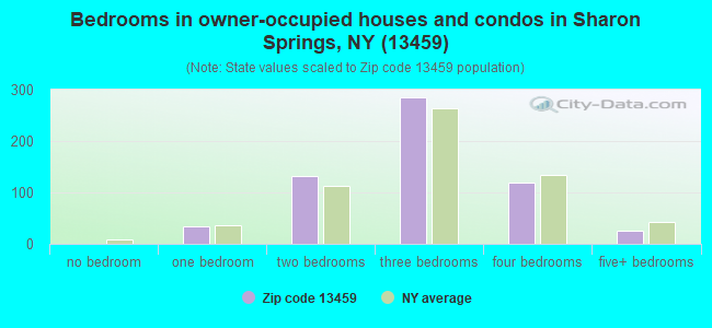 Bedrooms in owner-occupied houses and condos in Sharon Springs, NY (13459) 