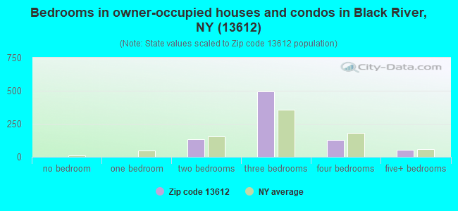 Bedrooms in owner-occupied houses and condos in Black River, NY (13612) 