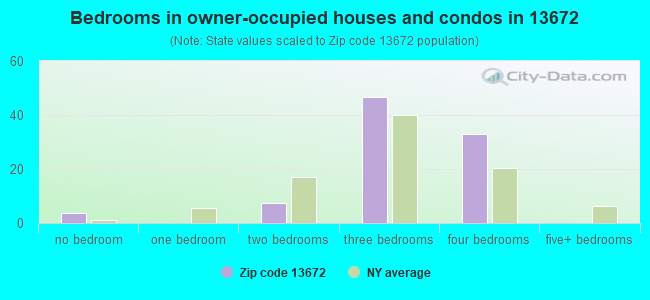 Bedrooms in owner-occupied houses and condos in 13672 