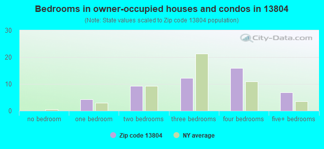 Bedrooms in owner-occupied houses and condos in 13804 