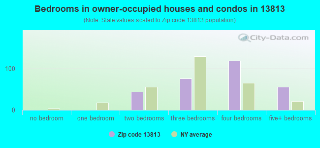 Bedrooms in owner-occupied houses and condos in 13813 