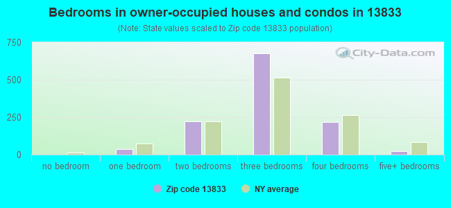 Bedrooms in owner-occupied houses and condos in 13833 